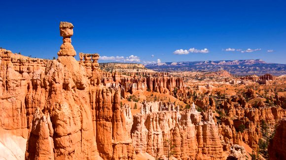 Photo from the movie America Wild: National Parks Adventure