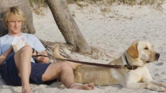 Photo du film Marley et moi