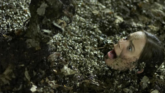 Photo from the movie The Marsh