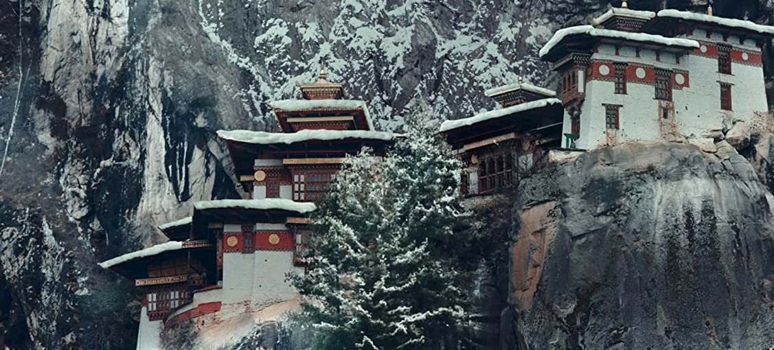 Photo du film Le tigre et l'enfant