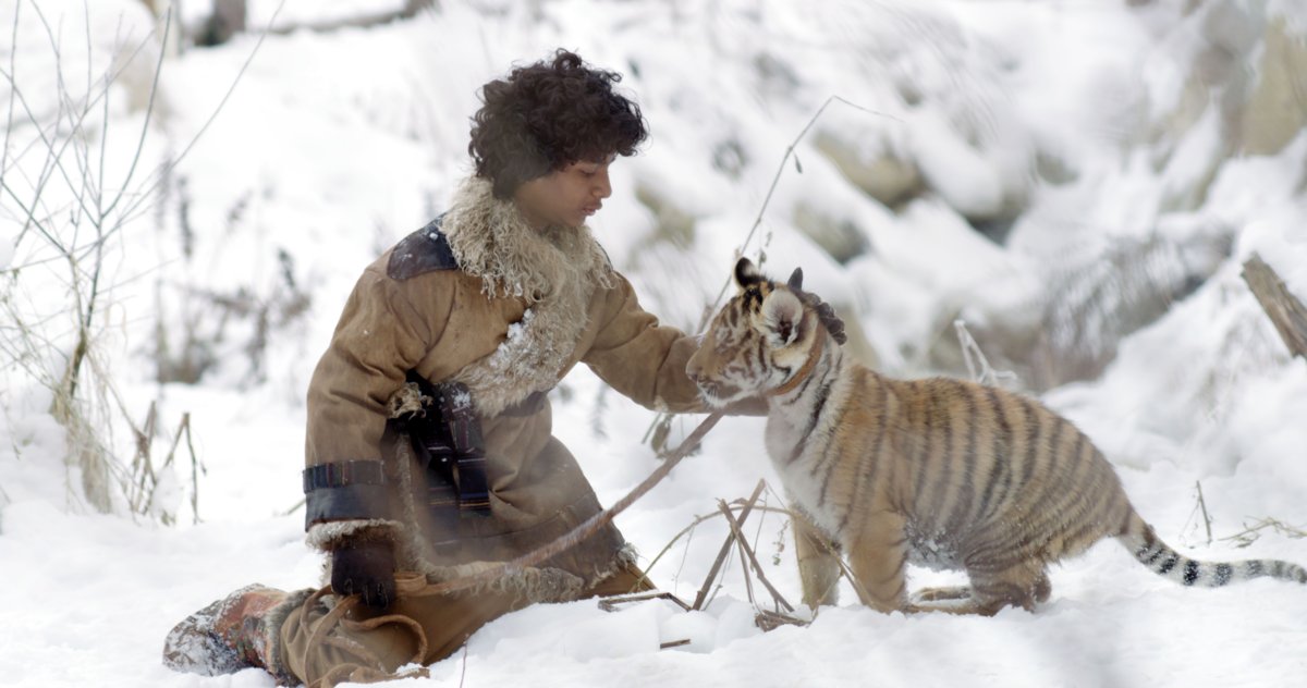 Photo du film Le tigre et l'enfant