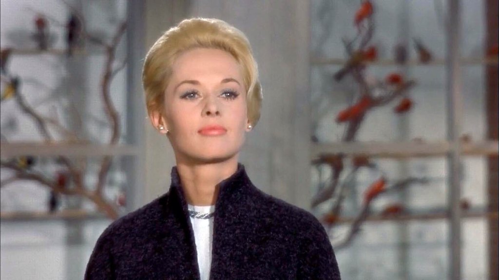 Photo du film Les Oiseaux