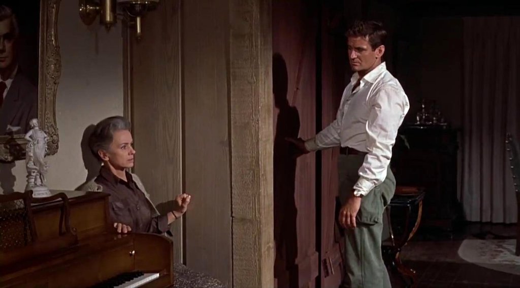 Photo du film Les Oiseaux