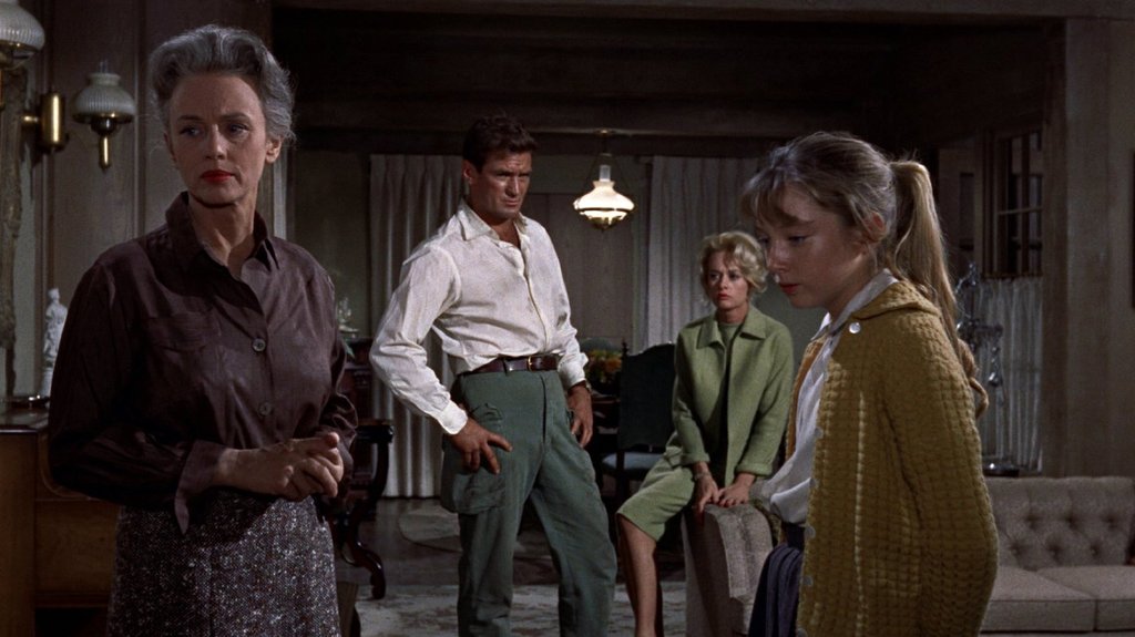 Photo du film Les Oiseaux