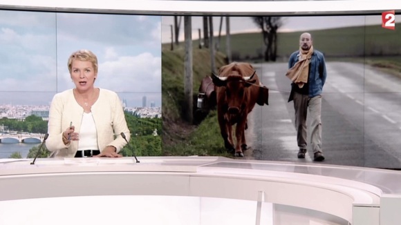 Photo du film La Vache