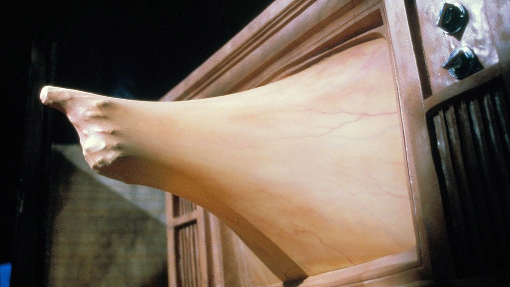 Photo from the movie Videodrome