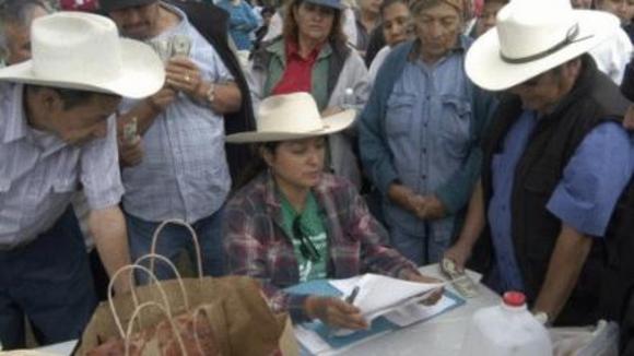 Photo du film The Garden