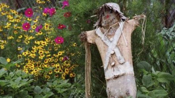 Photo du film The Garden