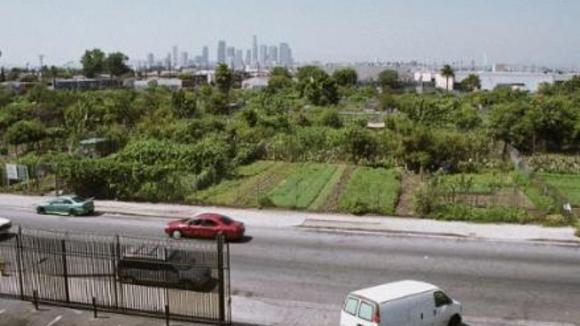 Photo du film The Garden