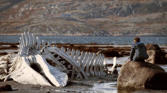 Photo du film Léviathan v.f.