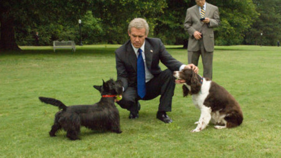 Photo du film W. v.f.