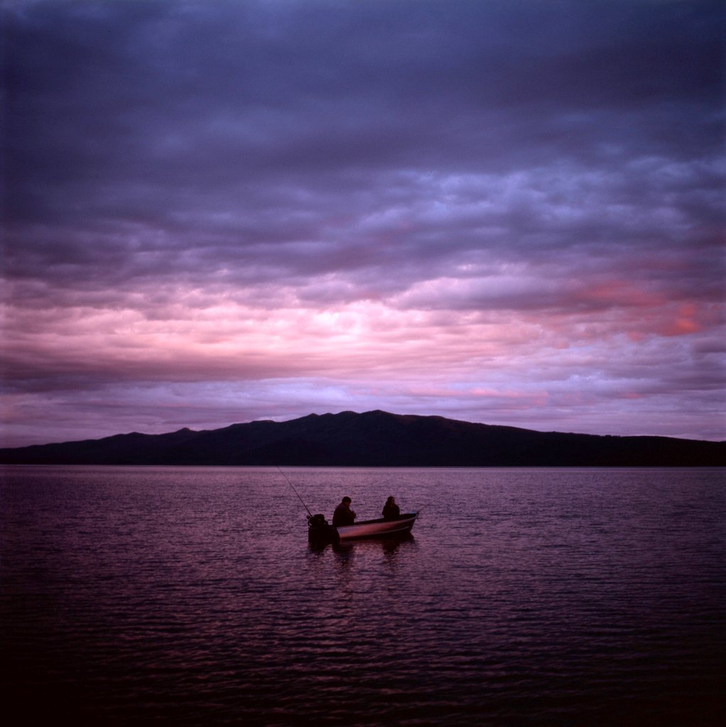 Photo du film Never Steady, Never Still