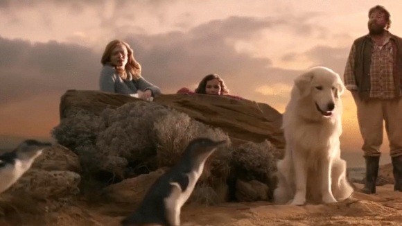 Photo du film Oddball v.f.