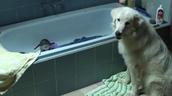 Photo du film Oddball v.f.