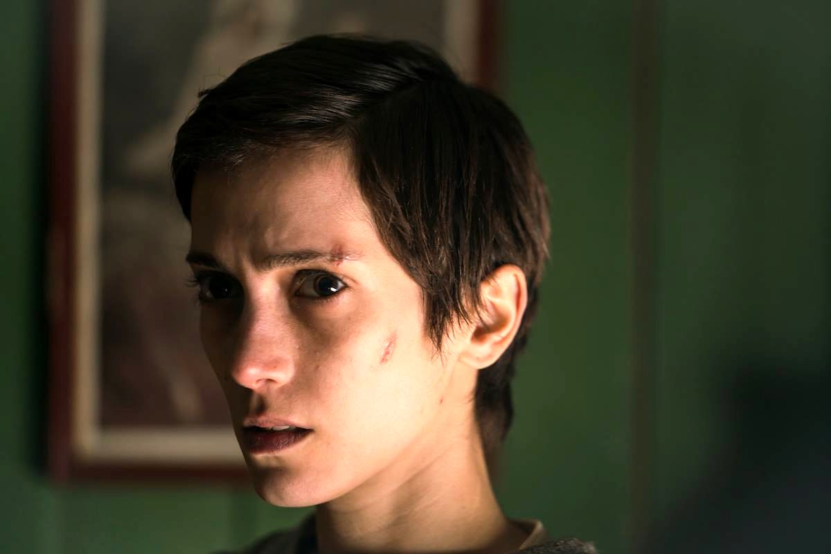 Photo du film The Birdcatcher