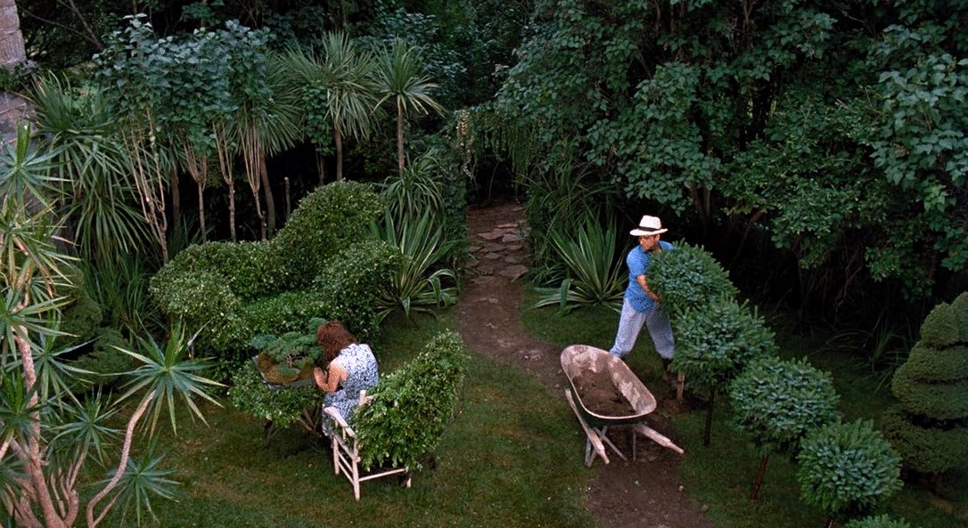 Photo from the movie White Room