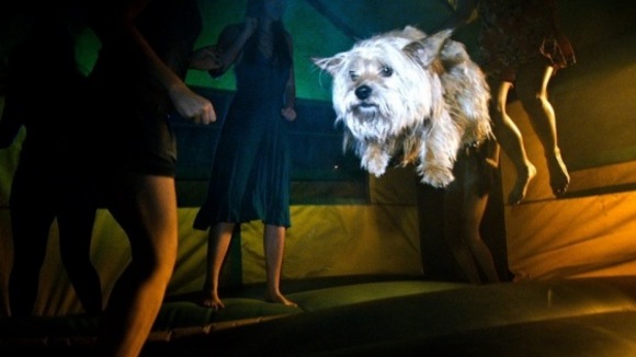 Photo du film Projet X v.f.