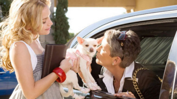 Photo from the movie Beverly Hills Chihuahua