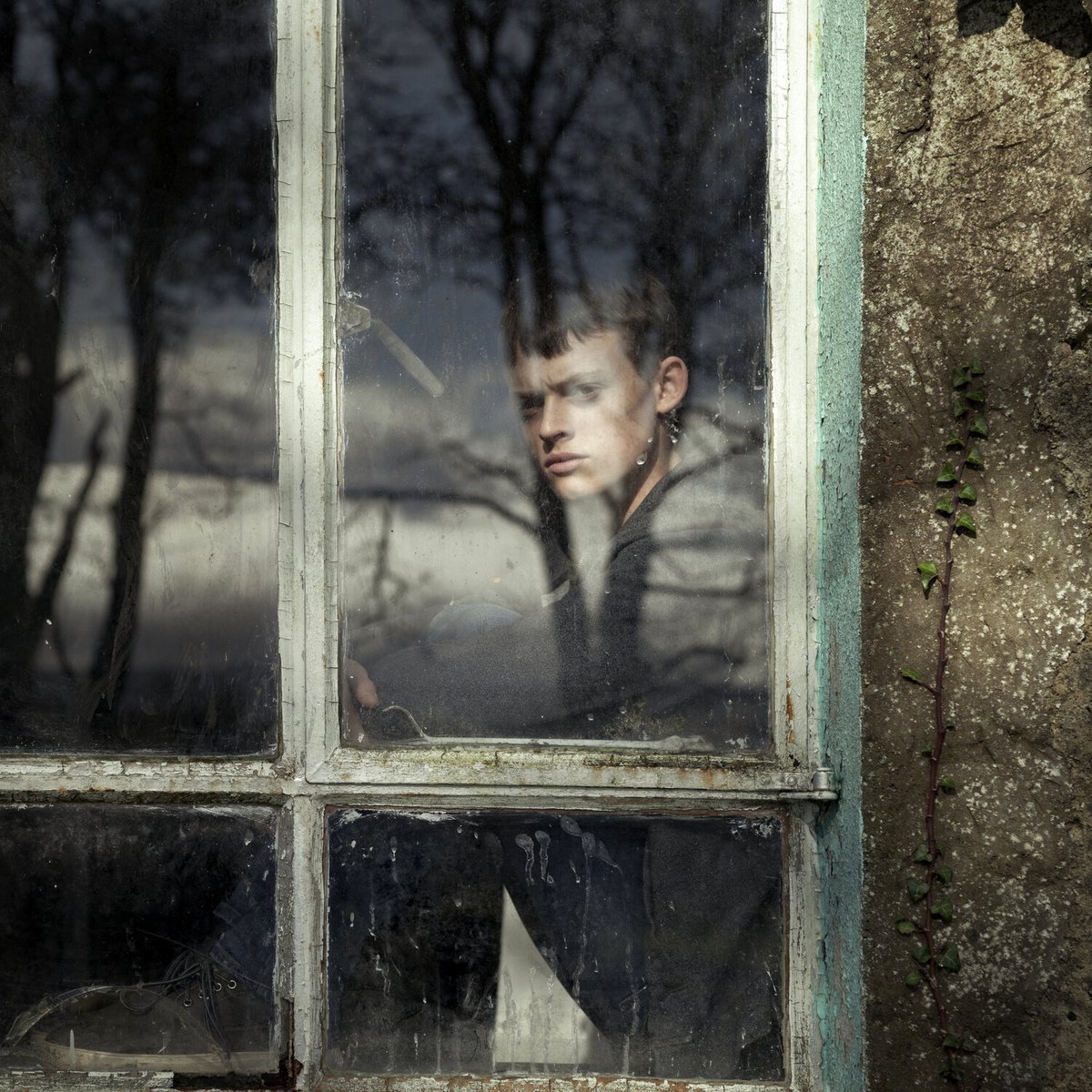 Photo du film The Winter Lake