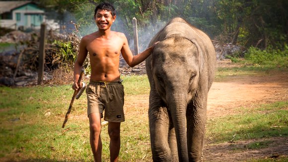 Photo du film When Elephants Were Young