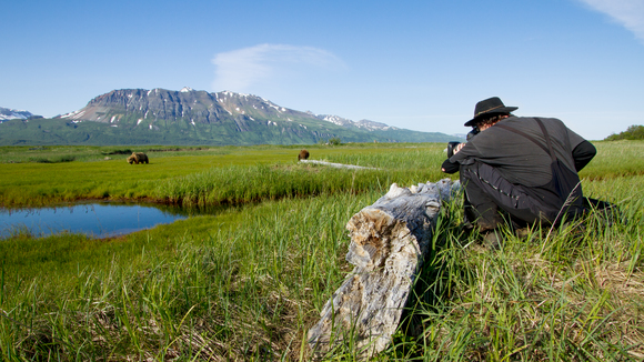 Photo from the movie Bears