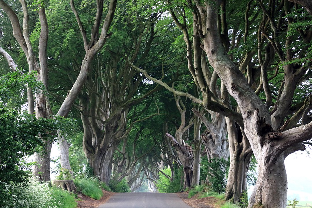 Photo from the movie Ireland