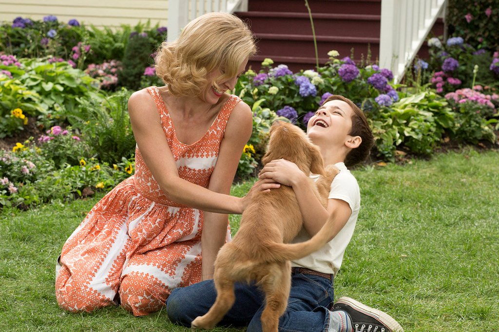 Photo from the movie A Dog's Purpose