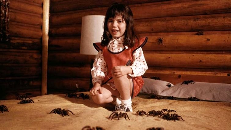 Photo from the movie Kingdom of the Spiders