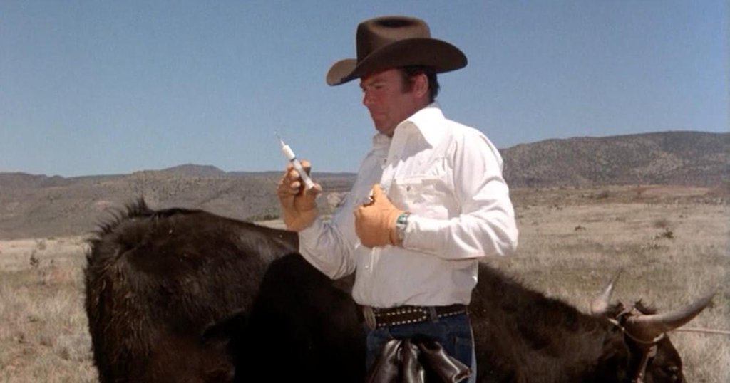 Photo from the movie Kingdom of the Spiders