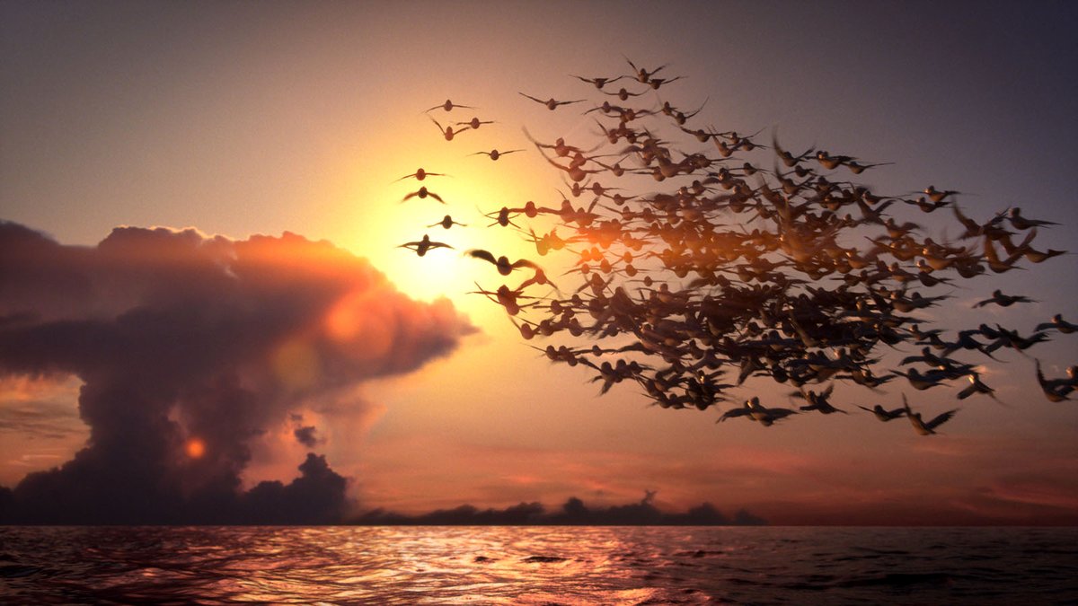 Photo du film Manou à l'école des goélands