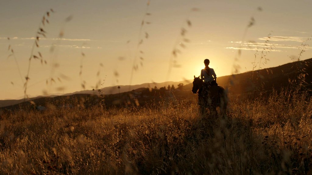 Photo du film La Passion en héritage