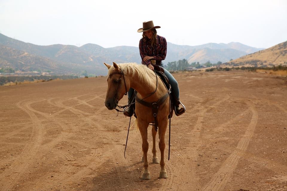Photo du film La Passion en héritage