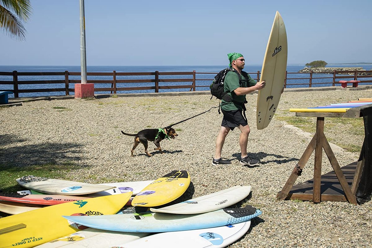 Photo du film The Pack