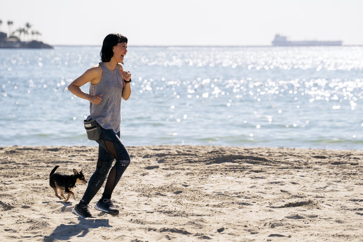 Photo du film The Pack