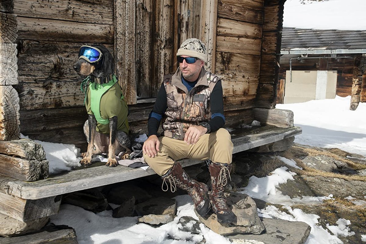 Photo du film The Pack