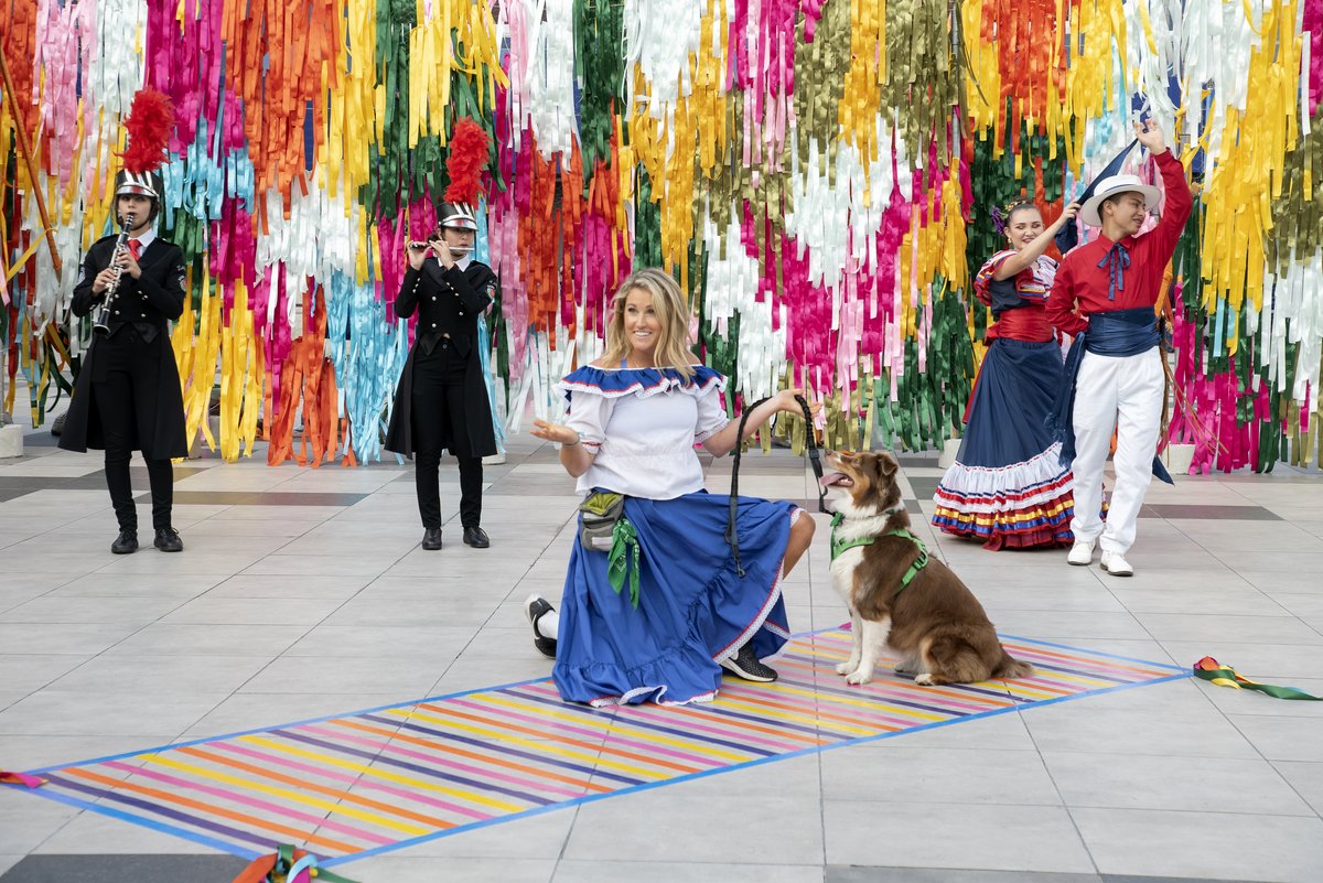 Photo du film The Pack