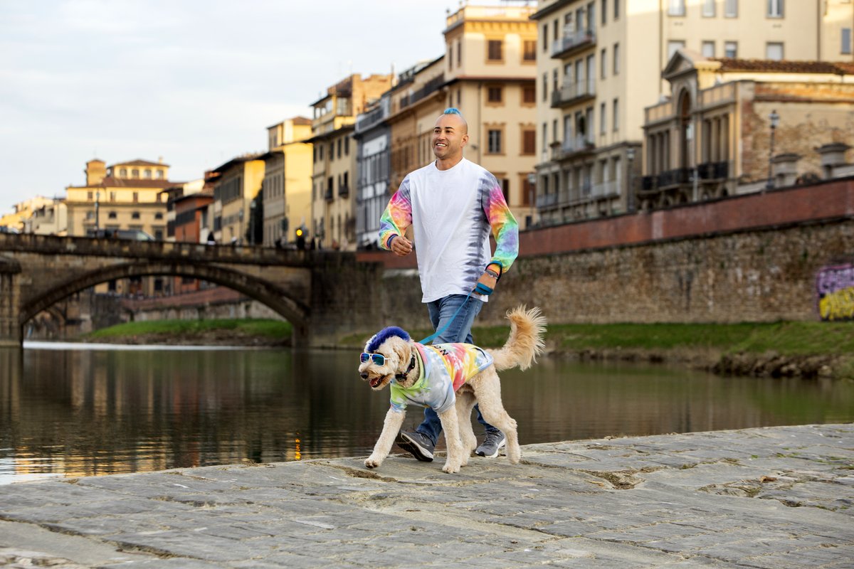 Photo du film The Pack