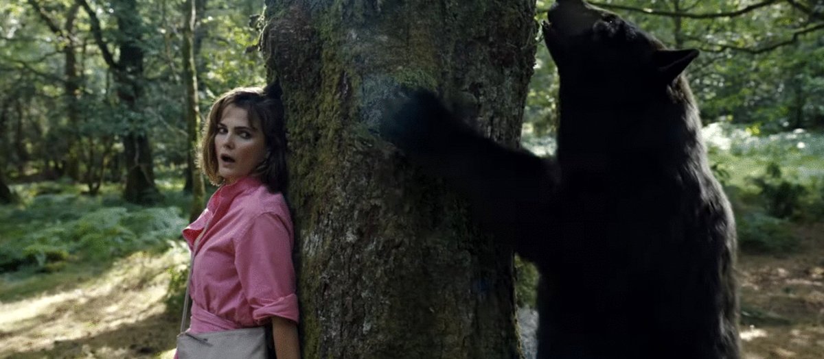 Photo du film Cocaine Bear