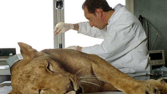 Photo du film Entre ses mains