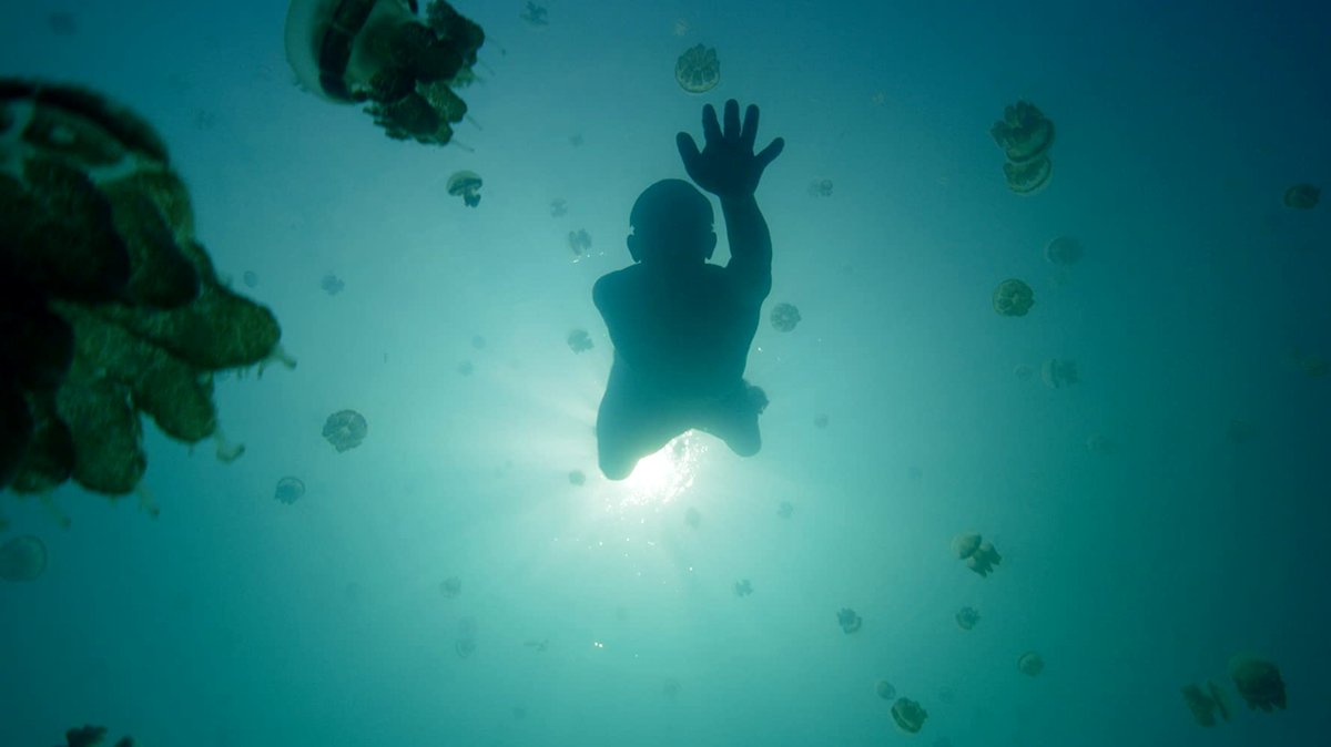 Photo du film One Strange Rock