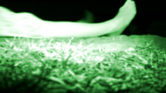 Photo du film The Poughkeepsie Tapes