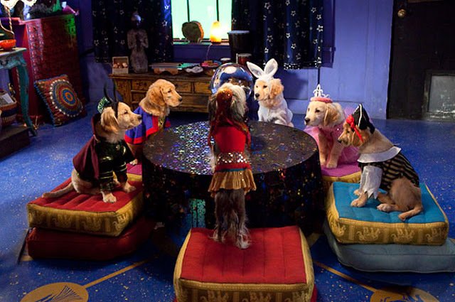 Photo from the movie Spooky Buddies