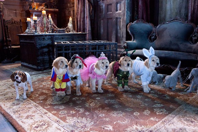 Photo from the movie Spooky Buddies