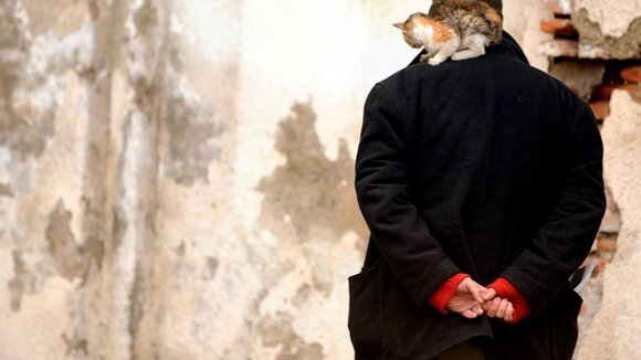 Photo du film Dar donya ye to saat chand ast?