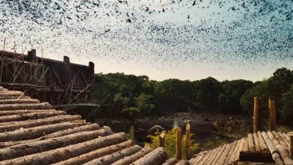 Photo from the movie Noah