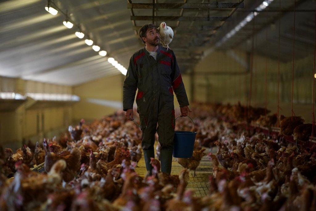 Photo du film Roxane