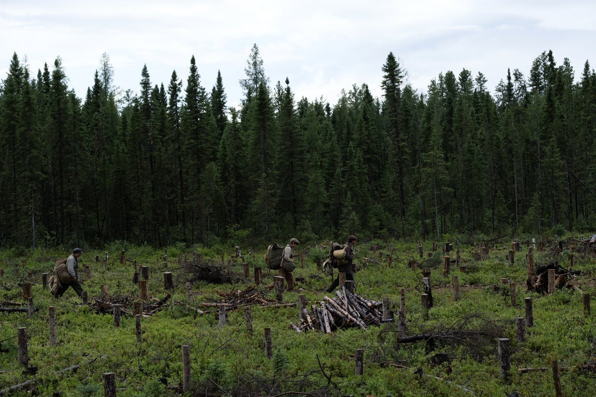 Photo from the movie Maria Chapdelaine