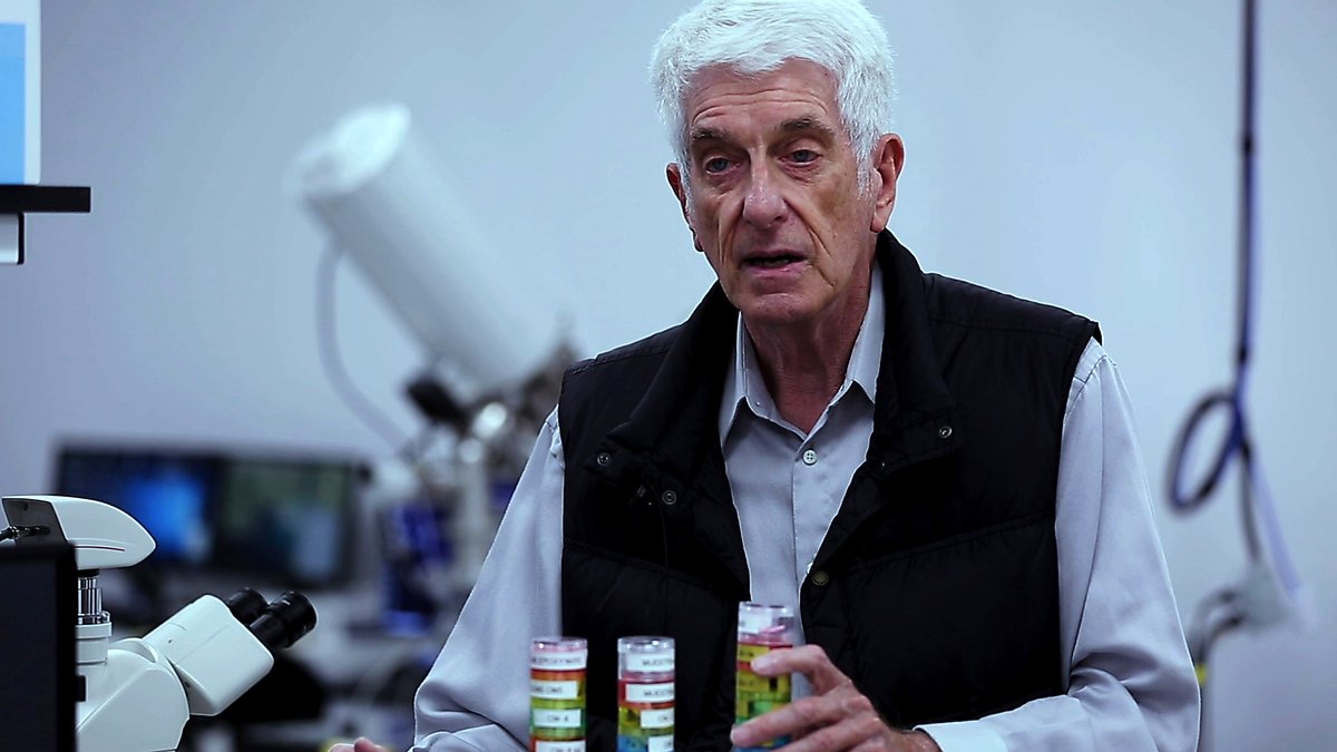 Photo du film The Phenomenon