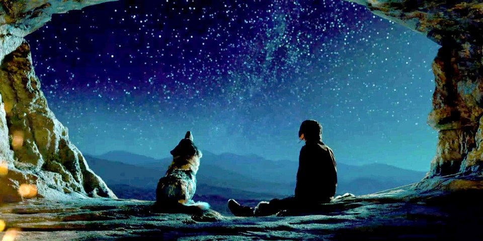 Photo from the movie Alpha