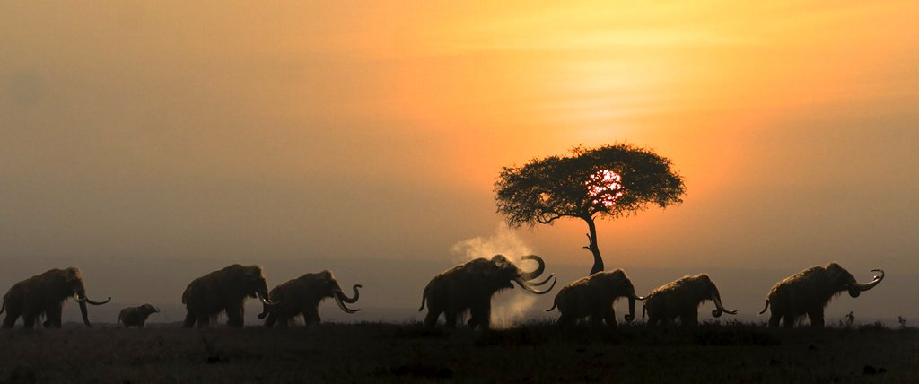 Photo from the movie Alpha